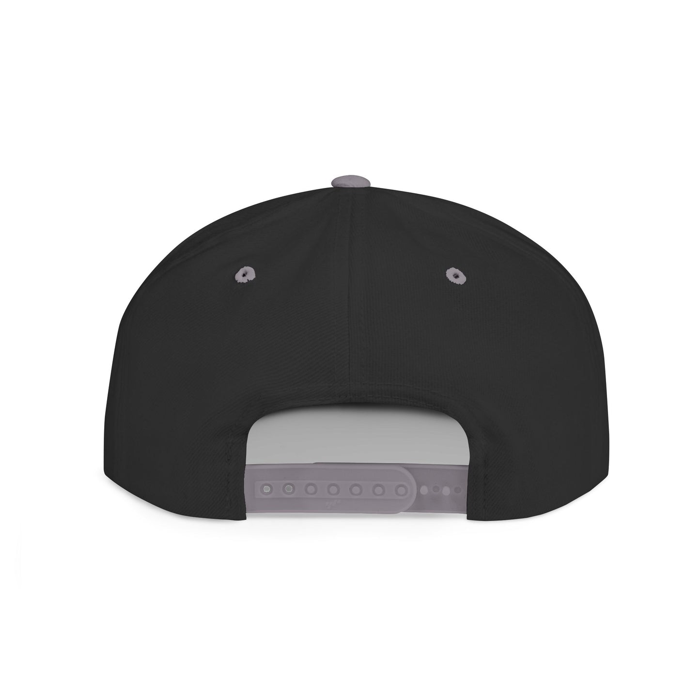 Froggy Blaze Embroidery Snapback